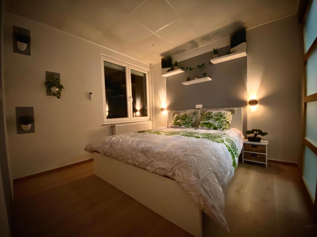 Logements Equipes A Onnaing Avec Espace Balneo En Option Proche Toyota, Autoroute Et Valenciennes Buitenkant foto